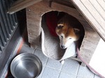 09年1月1日 帰省 026.jpg