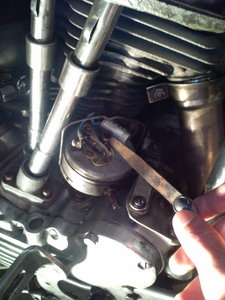 20100131224318.jpg