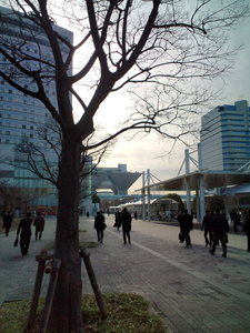 20100204094244.jpg