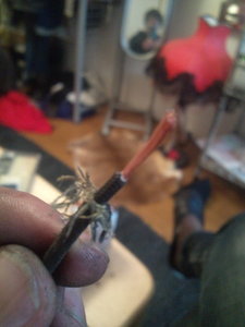 20100207004559.jpg