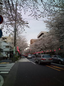 20100404152009.jpg