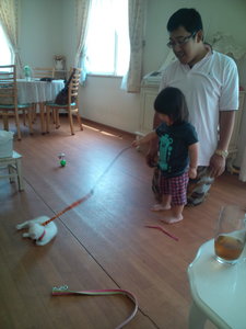 20100627113739.jpg