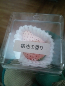20110225194057.jpg