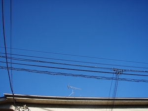 ブログ 001.jpg