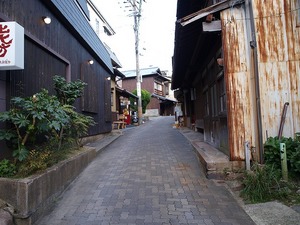 芦屋川〜有馬トレッキング_064.jpg
