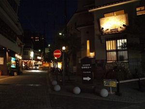 芦屋川〜有馬トレッキング_080.jpg