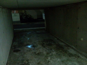 20100929233056.jpg